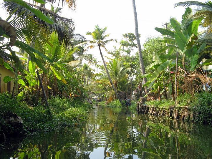 Alapatt Homestay Alappuzha Экстерьер фото